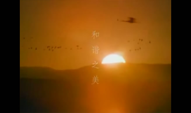 ���ӣ��������ڸ���{my:seotitle}