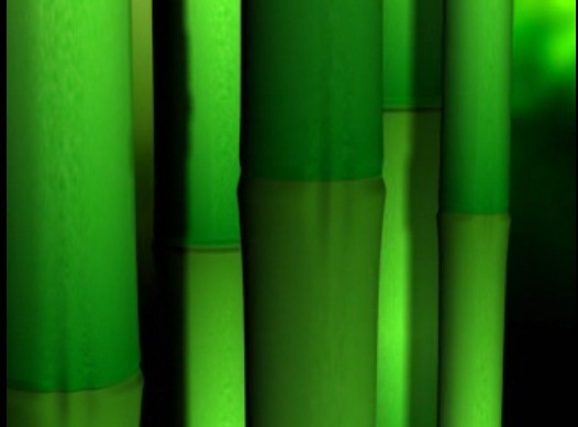 ���ֽ^��Ƭ�^�Ӯ�{my:seotitle}