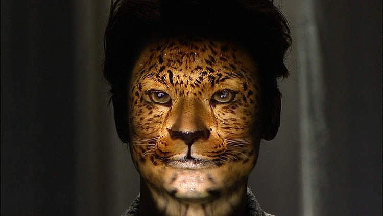 �ձ��ſ�3DͶӰģ�؊y�ݿƻ�׃��չʾ{my:seotitle}