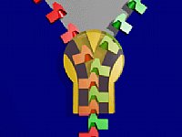 ��Ҋ�Cеԭ��Ӯ�3D�DƬչʾ