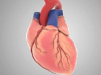 ���S�Ӯ�ҕ�l�������t���t�W�ИI�đ��÷�������Щ��